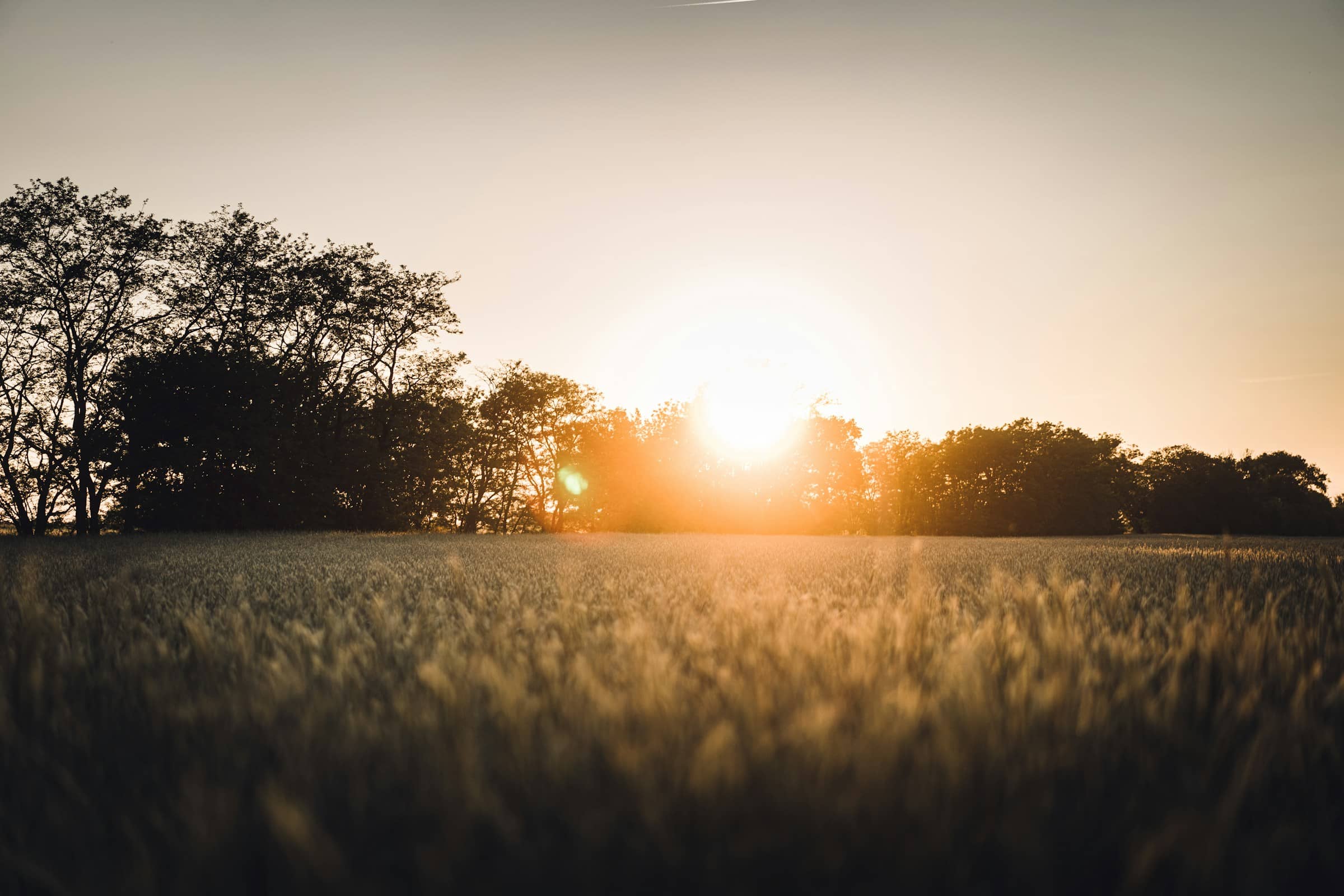 10 Things You Can Do Today to Make Tomorrow Better