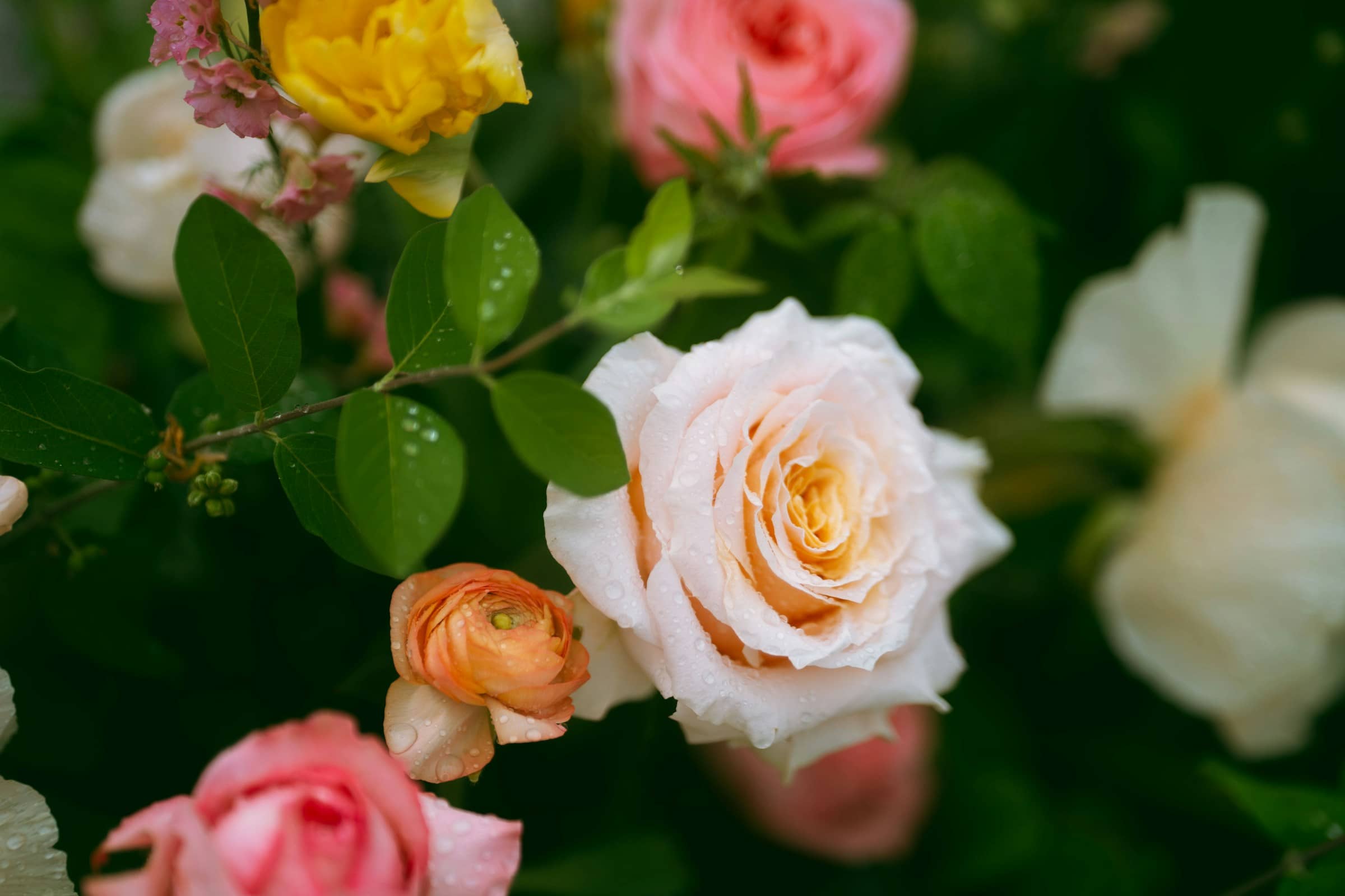 You Don’t Need to Force Growth—You Just Need to Clear the Way